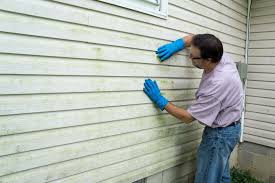 Affordable Siding Repair and Maintenance Services in Munford, TN